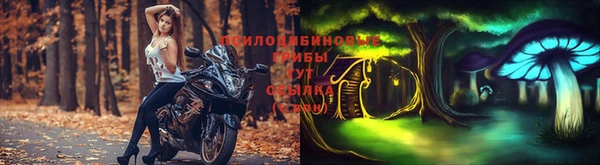 ГАЛЛЮЦИНОГЕННЫЕ ГРИБЫ Бугульма