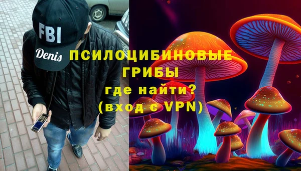 марки lsd Бородино