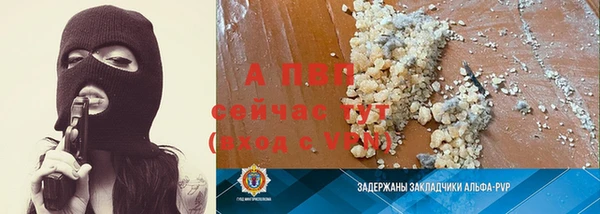 ГАЛЛЮЦИНОГЕННЫЕ ГРИБЫ Бугульма