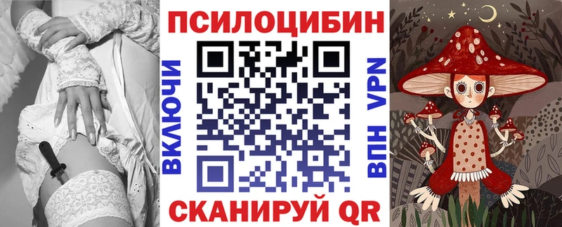 blacksprut зеркало  наркота  Верхотурье  Галлюциногенные грибы Cubensis 